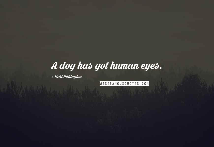 Karl Pilkington Quotes: A dog has got human eyes.