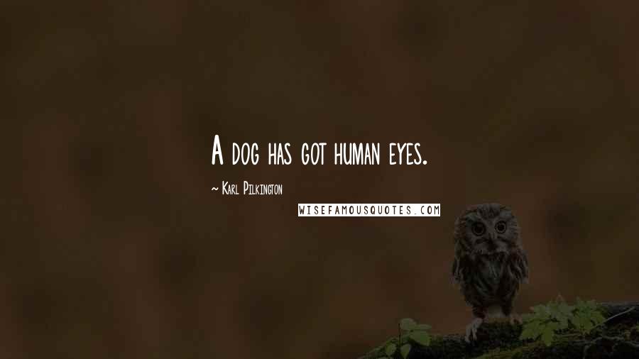 Karl Pilkington Quotes: A dog has got human eyes.