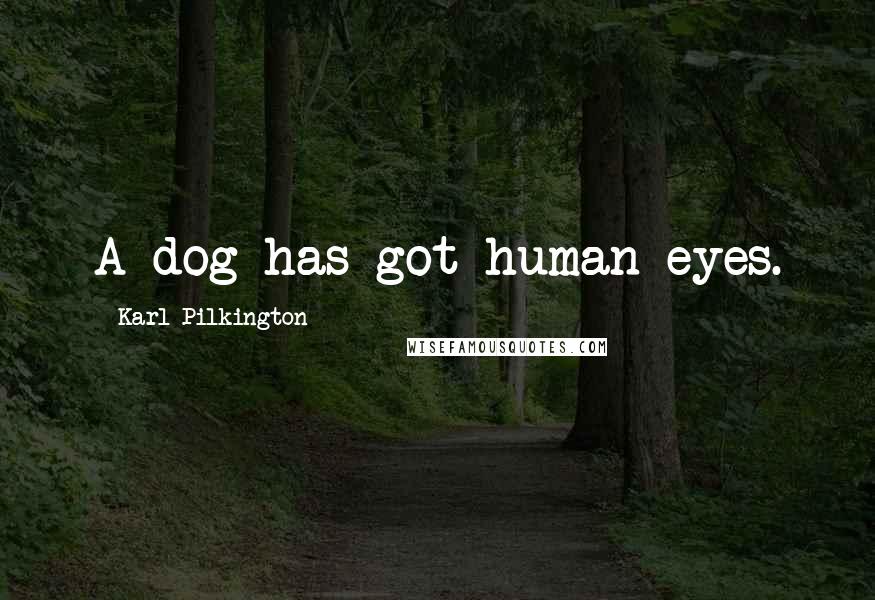 Karl Pilkington Quotes: A dog has got human eyes.