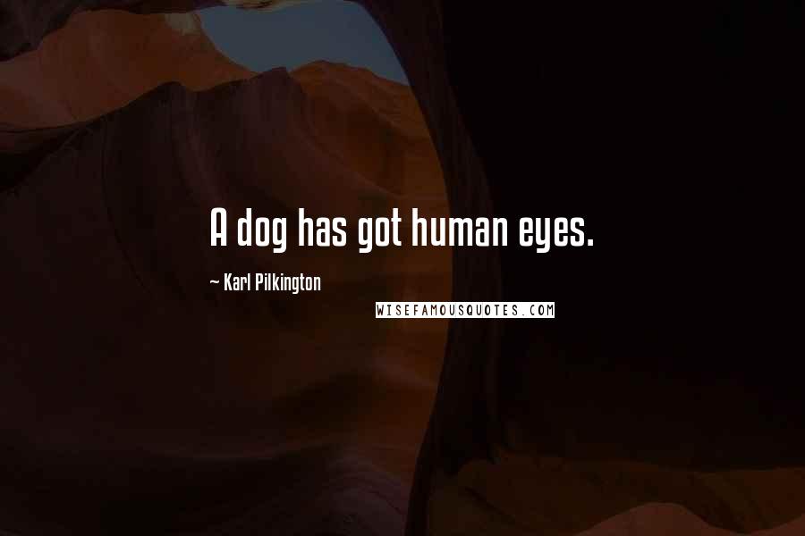 Karl Pilkington Quotes: A dog has got human eyes.