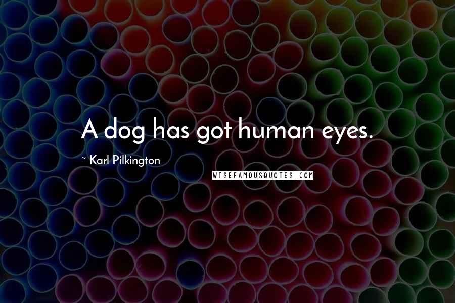 Karl Pilkington Quotes: A dog has got human eyes.