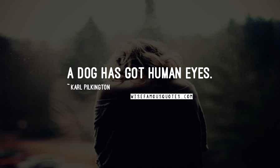 Karl Pilkington Quotes: A dog has got human eyes.