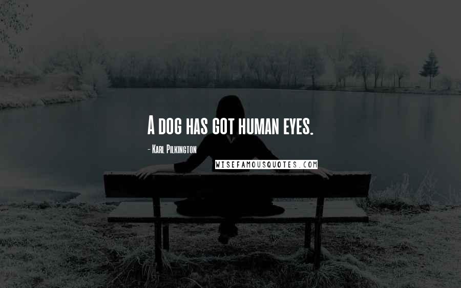 Karl Pilkington Quotes: A dog has got human eyes.