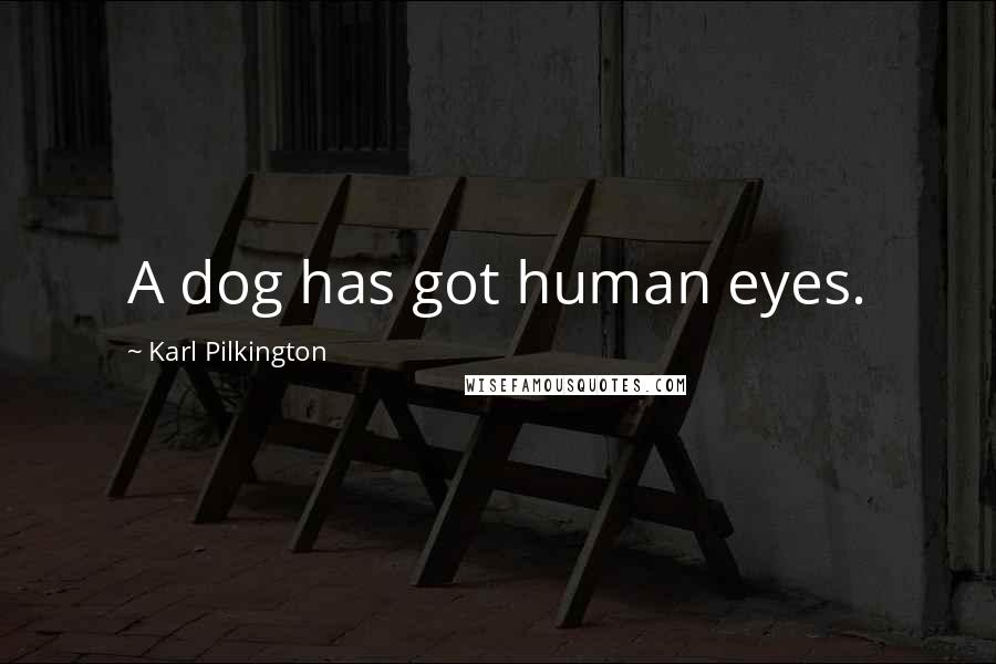 Karl Pilkington Quotes: A dog has got human eyes.