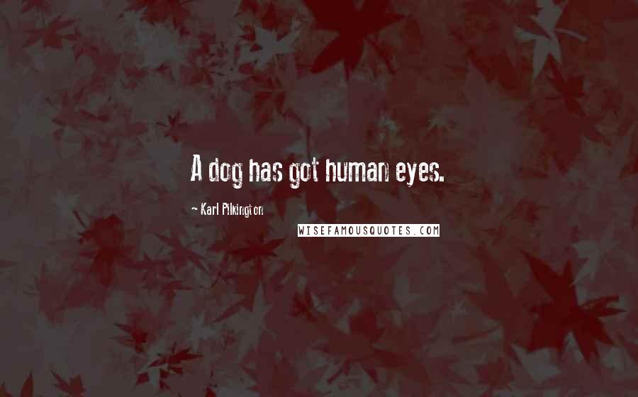 Karl Pilkington Quotes: A dog has got human eyes.