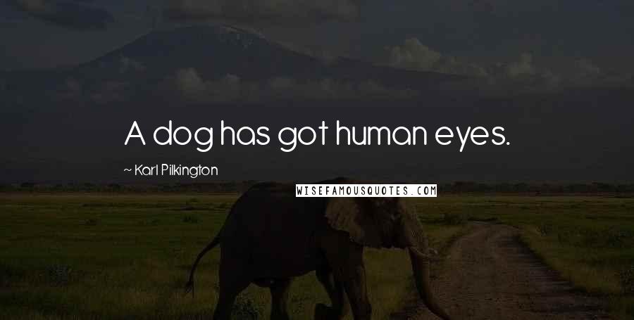 Karl Pilkington Quotes: A dog has got human eyes.