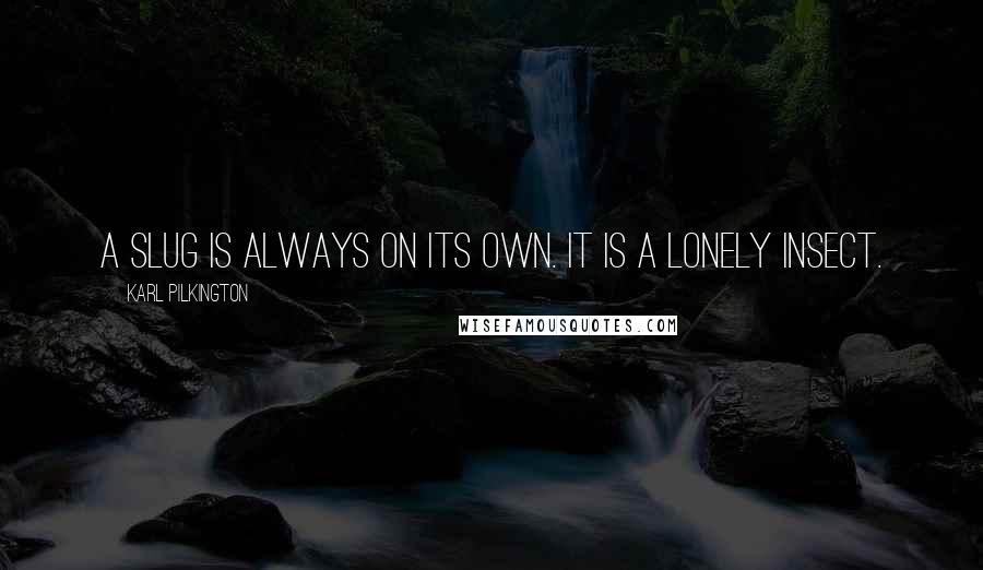 Karl Pilkington Quotes: A slug is always on its own. It is a lonely insect.