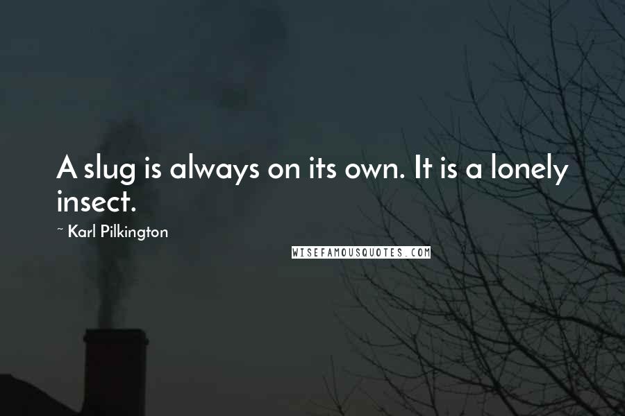 Karl Pilkington Quotes: A slug is always on its own. It is a lonely insect.