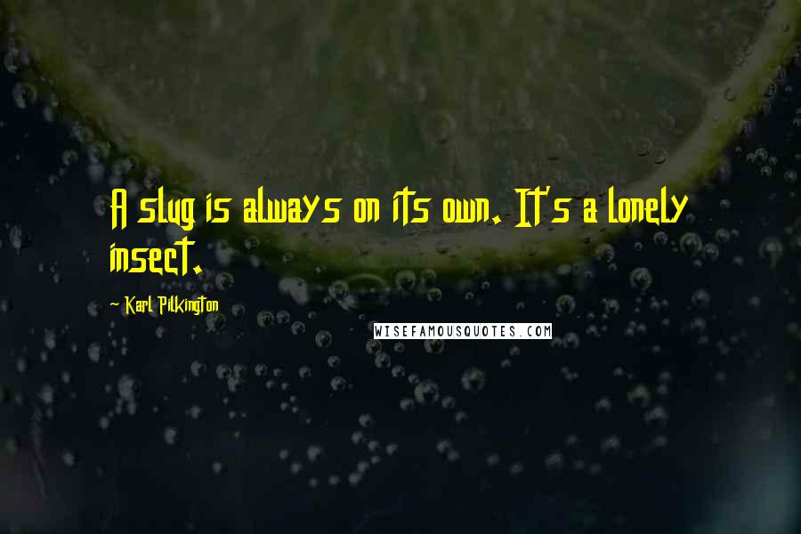 Karl Pilkington Quotes: A slug is always on its own. It's a lonely insect.