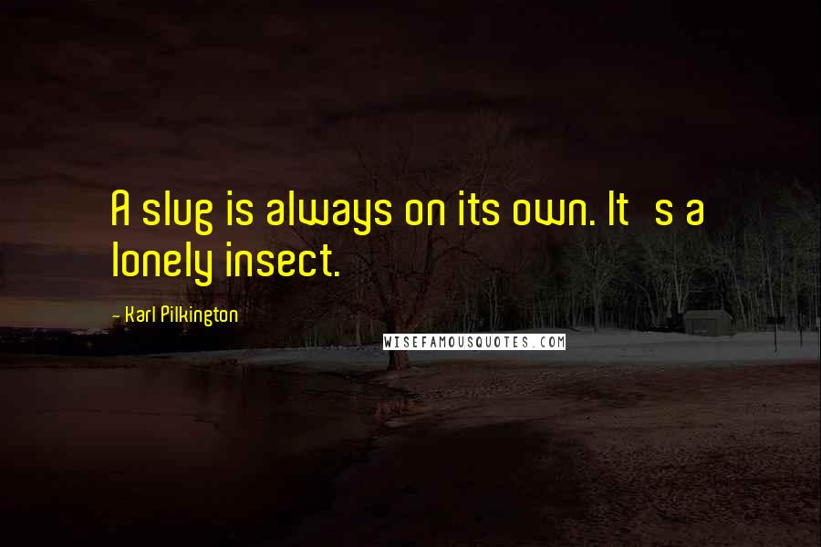 Karl Pilkington Quotes: A slug is always on its own. It's a lonely insect.