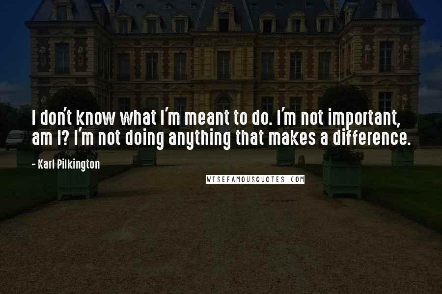 Karl Pilkington Quotes: I don't know what I'm meant to do. I'm not important, am I? I'm not doing anything that makes a difference.