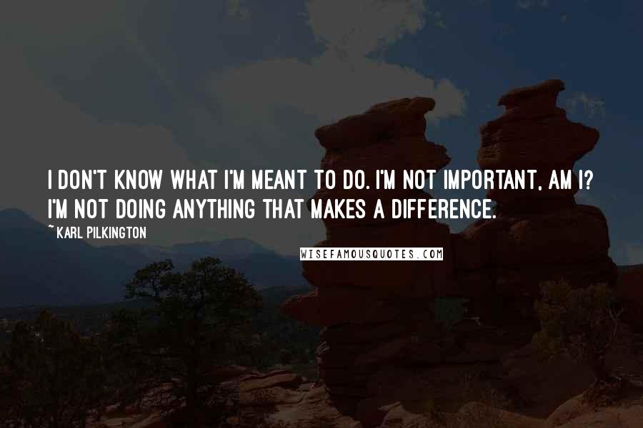 Karl Pilkington Quotes: I don't know what I'm meant to do. I'm not important, am I? I'm not doing anything that makes a difference.