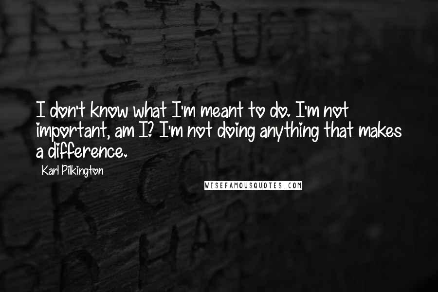 Karl Pilkington Quotes: I don't know what I'm meant to do. I'm not important, am I? I'm not doing anything that makes a difference.