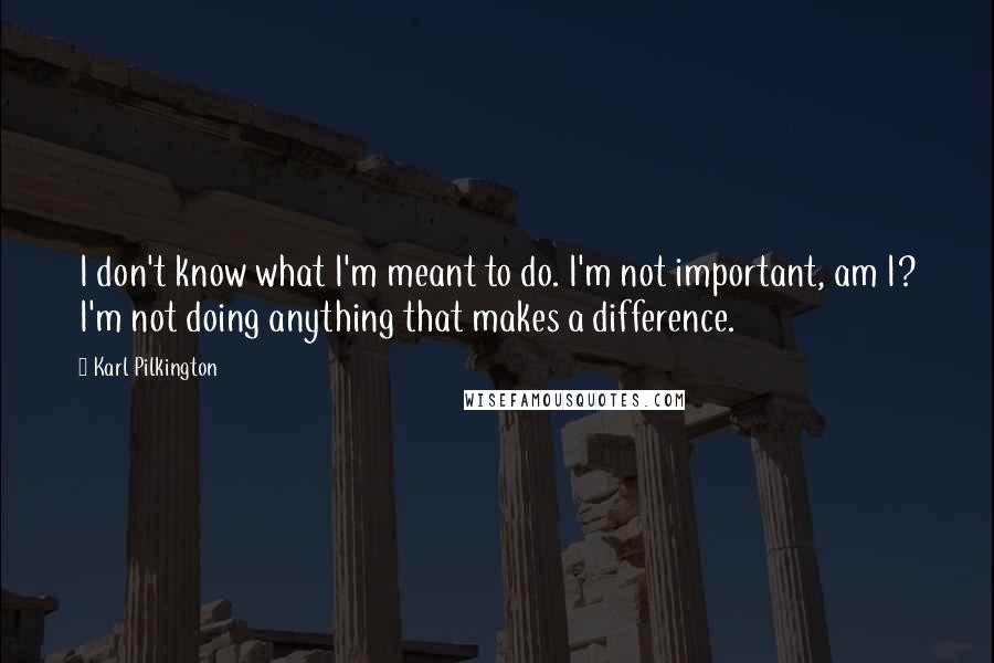 Karl Pilkington Quotes: I don't know what I'm meant to do. I'm not important, am I? I'm not doing anything that makes a difference.
