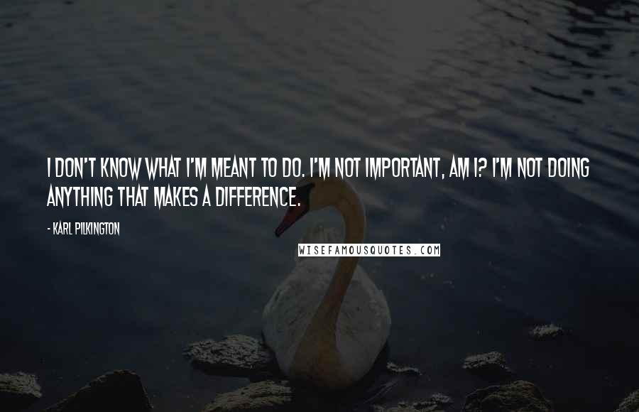 Karl Pilkington Quotes: I don't know what I'm meant to do. I'm not important, am I? I'm not doing anything that makes a difference.