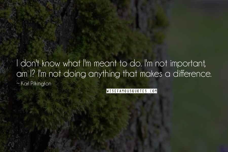 Karl Pilkington Quotes: I don't know what I'm meant to do. I'm not important, am I? I'm not doing anything that makes a difference.