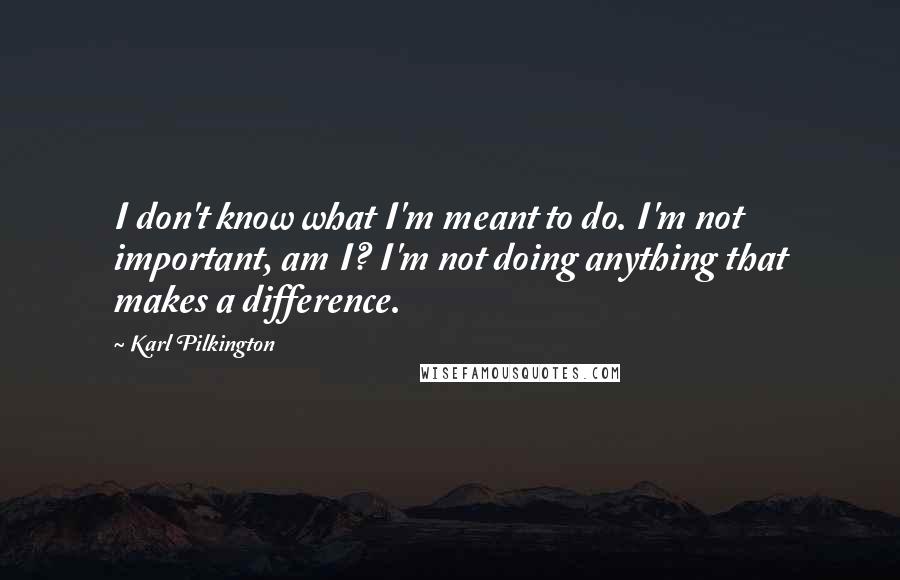 Karl Pilkington Quotes: I don't know what I'm meant to do. I'm not important, am I? I'm not doing anything that makes a difference.