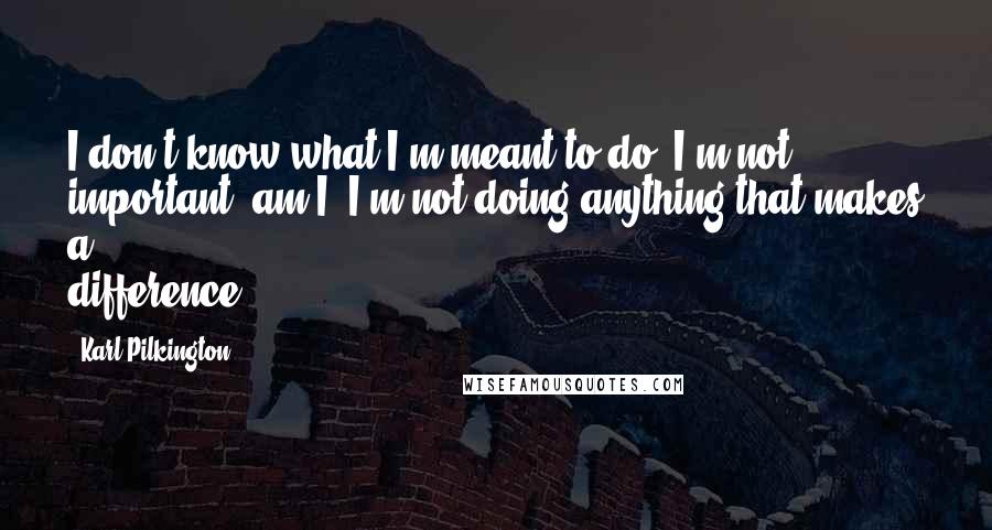 Karl Pilkington Quotes: I don't know what I'm meant to do. I'm not important, am I? I'm not doing anything that makes a difference.