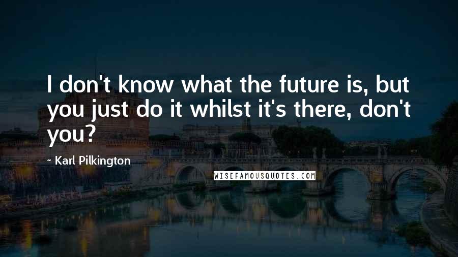 Karl Pilkington Quotes: I don't know what the future is, but you just do it whilst it's there, don't you?