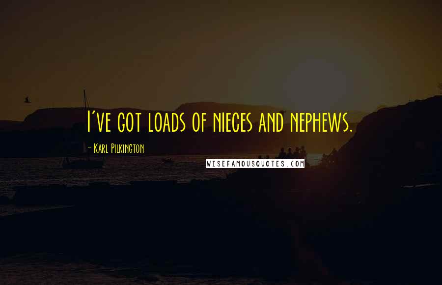 Karl Pilkington Quotes: I've got loads of nieces and nephews.