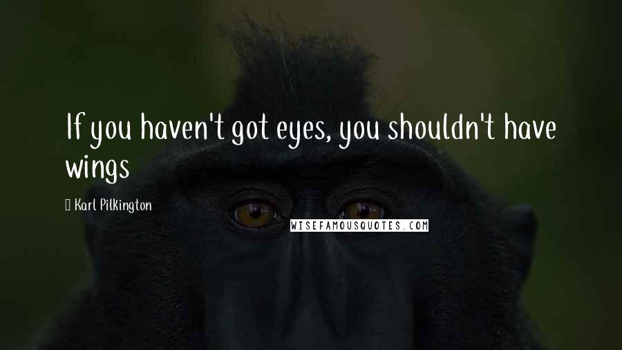 Karl Pilkington Quotes: If you haven't got eyes, you shouldn't have wings