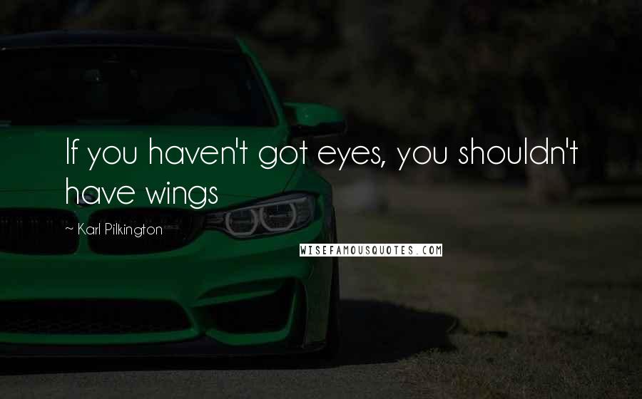 Karl Pilkington Quotes: If you haven't got eyes, you shouldn't have wings