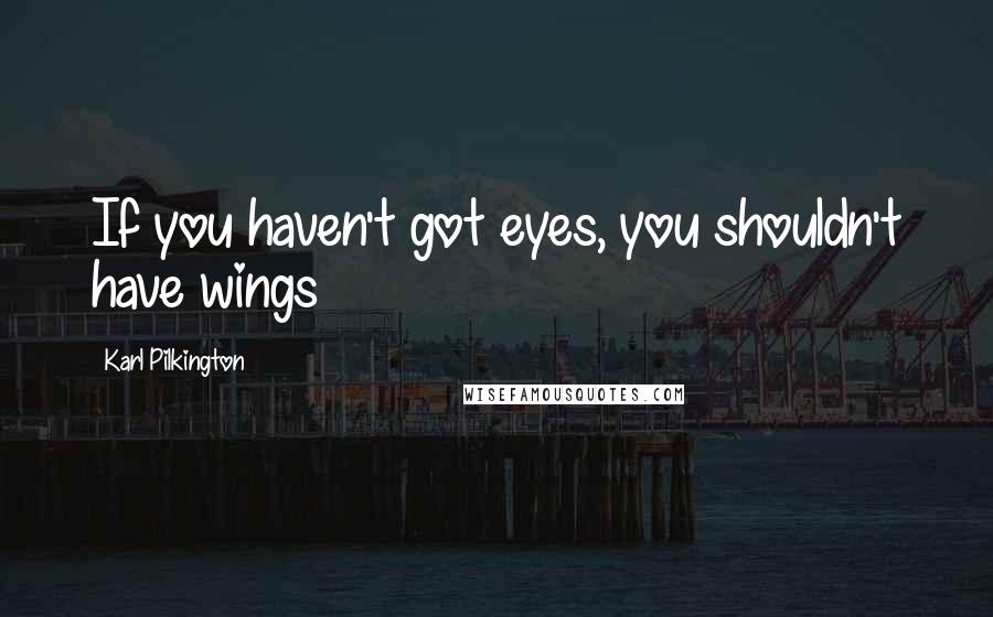 Karl Pilkington Quotes: If you haven't got eyes, you shouldn't have wings