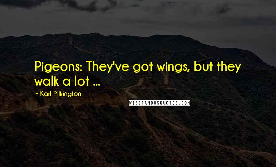 Karl Pilkington Quotes: Pigeons: They've got wings, but they walk a lot ...