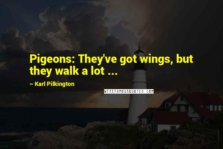 Karl Pilkington Quotes: Pigeons: They've got wings, but they walk a lot ...