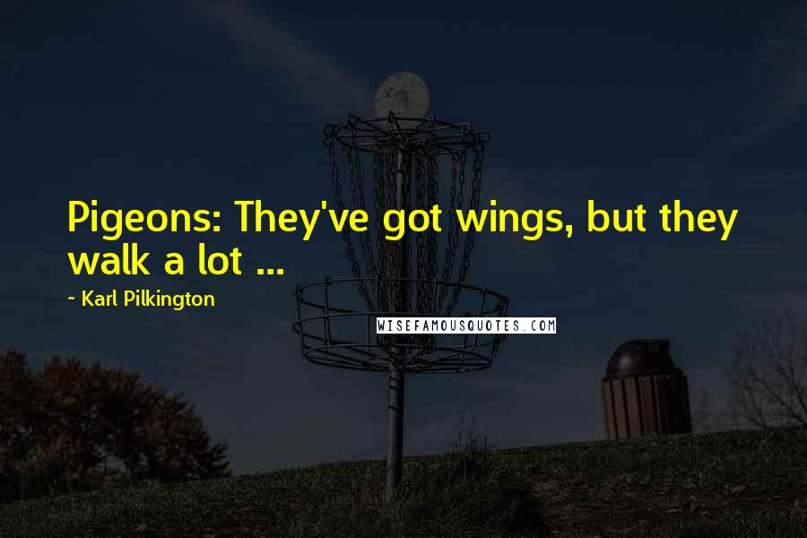 Karl Pilkington Quotes: Pigeons: They've got wings, but they walk a lot ...