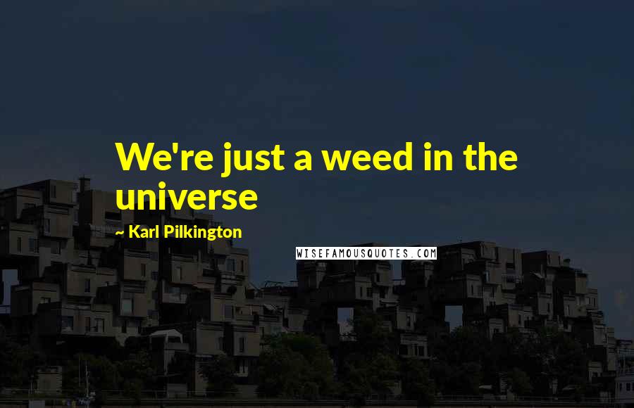 Karl Pilkington Quotes: We're just a weed in the universe