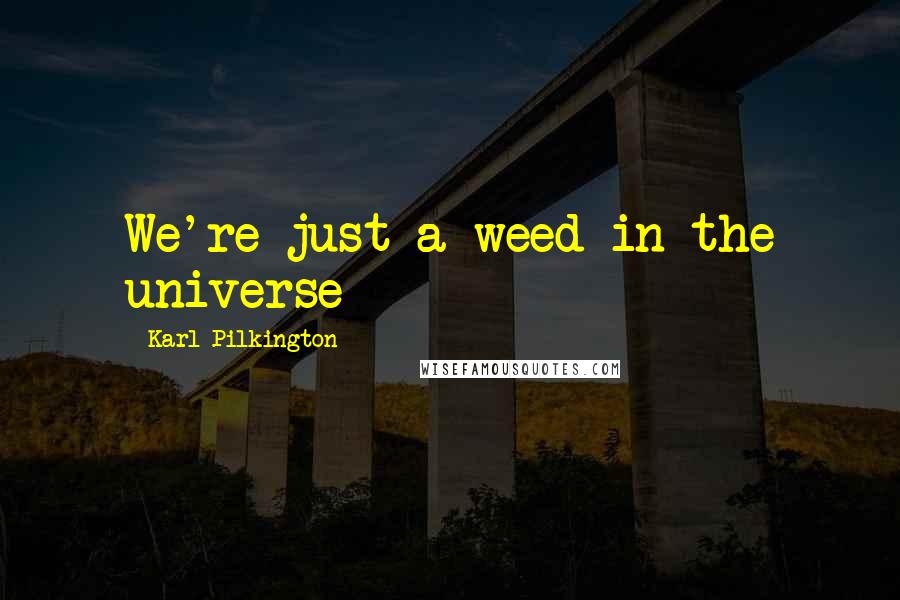 Karl Pilkington Quotes: We're just a weed in the universe