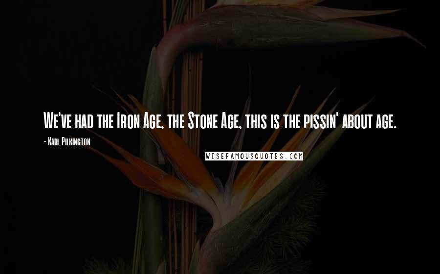 Karl Pilkington Quotes: We've had the Iron Age, the Stone Age, this is the pissin' about age.