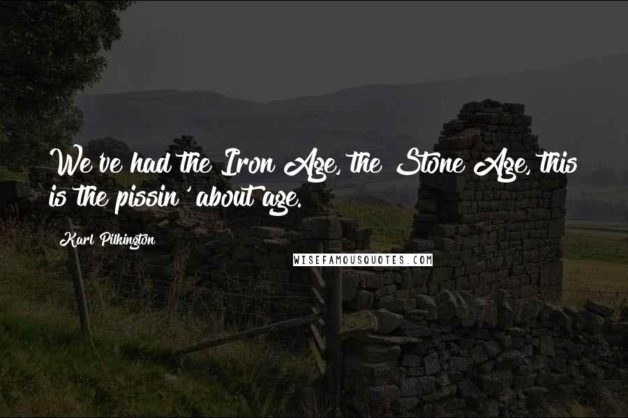 Karl Pilkington Quotes: We've had the Iron Age, the Stone Age, this is the pissin' about age.