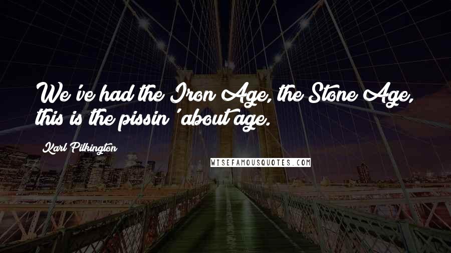 Karl Pilkington Quotes: We've had the Iron Age, the Stone Age, this is the pissin' about age.