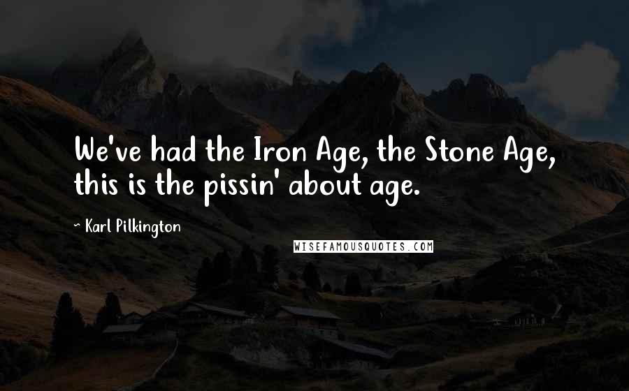 Karl Pilkington Quotes: We've had the Iron Age, the Stone Age, this is the pissin' about age.