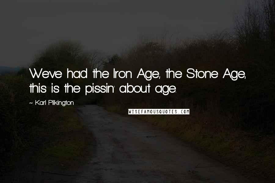Karl Pilkington Quotes: We've had the Iron Age, the Stone Age, this is the pissin' about age.