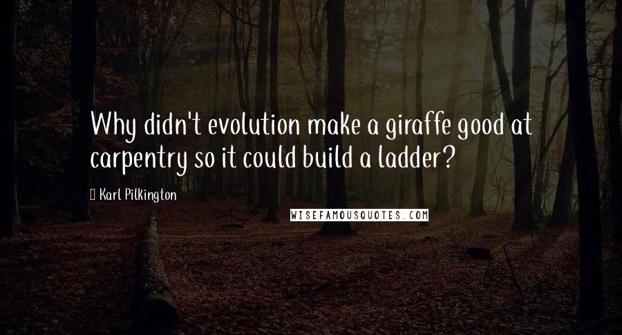 Karl Pilkington Quotes: Why didn't evolution make a giraffe good at carpentry so it could build a ladder?