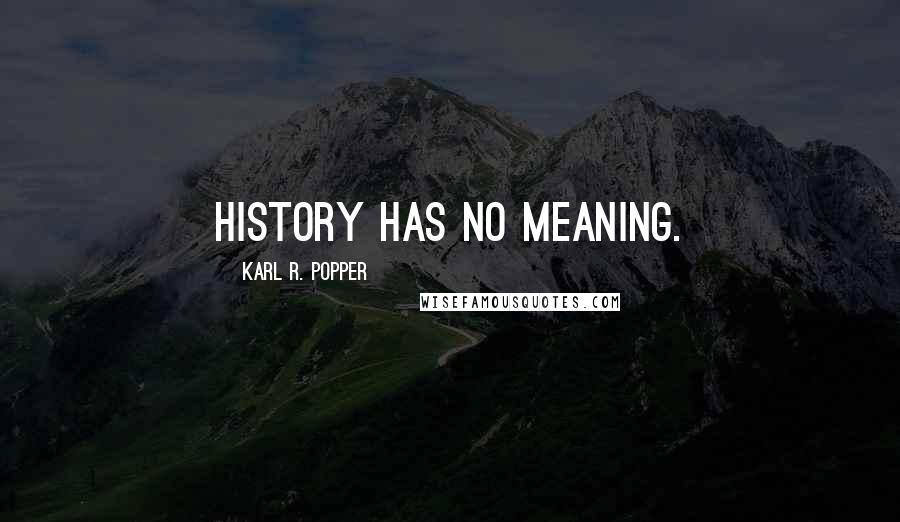 Karl R. Popper Quotes: History has no meaning.