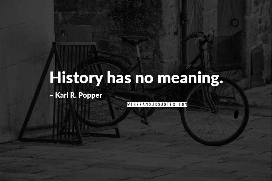 Karl R. Popper Quotes: History has no meaning.