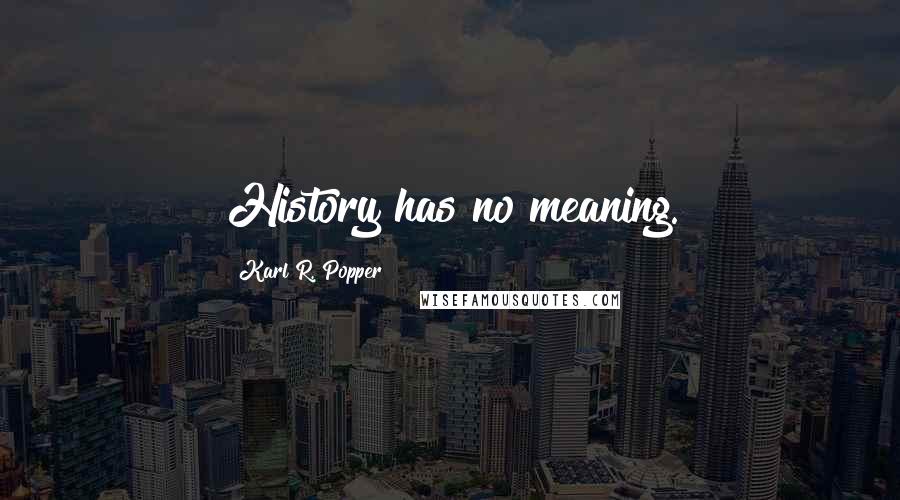 Karl R. Popper Quotes: History has no meaning.