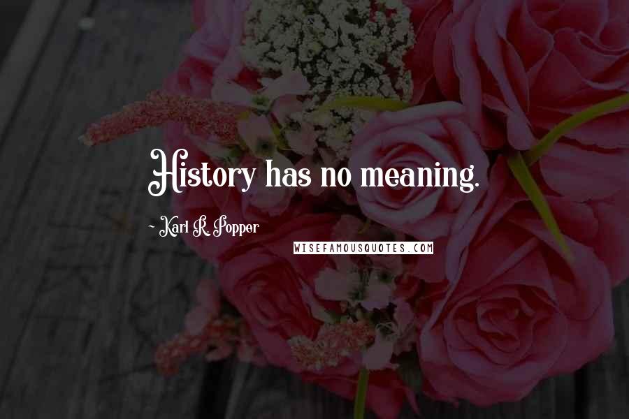 Karl R. Popper Quotes: History has no meaning.