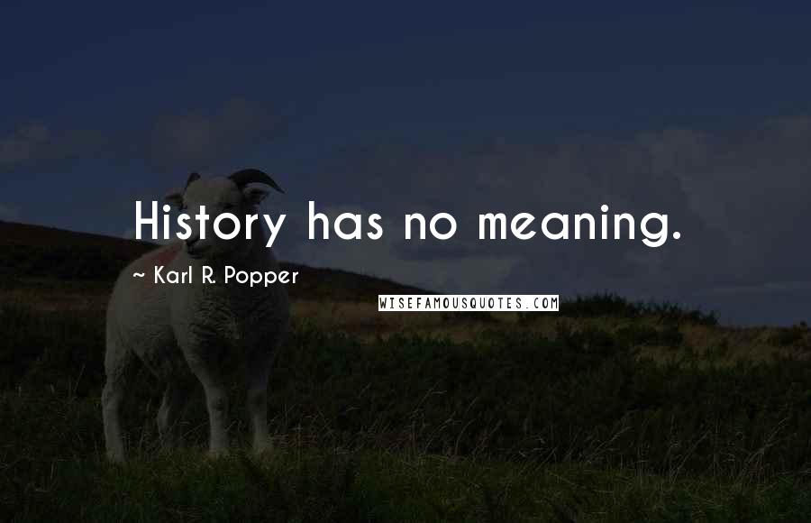 Karl R. Popper Quotes: History has no meaning.