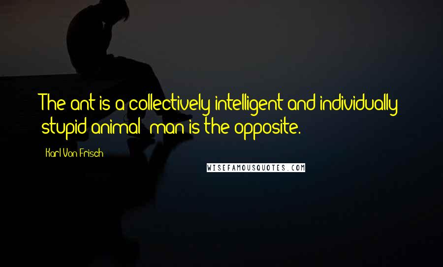 Karl Von Frisch Quotes: The ant is a collectively intelligent and individually stupid animal; man is the opposite.