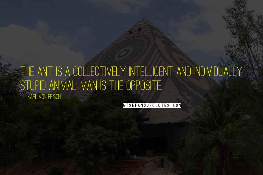 Karl Von Frisch Quotes: The ant is a collectively intelligent and individually stupid animal; man is the opposite.