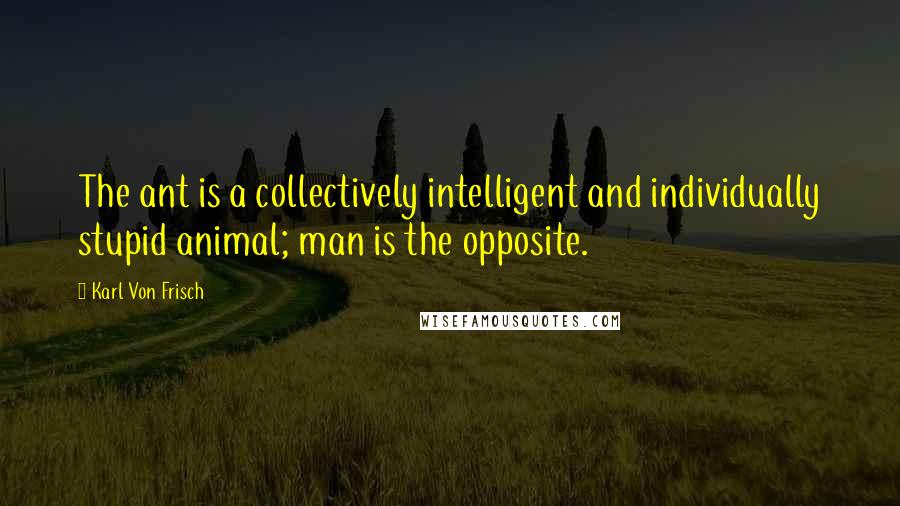 Karl Von Frisch Quotes: The ant is a collectively intelligent and individually stupid animal; man is the opposite.