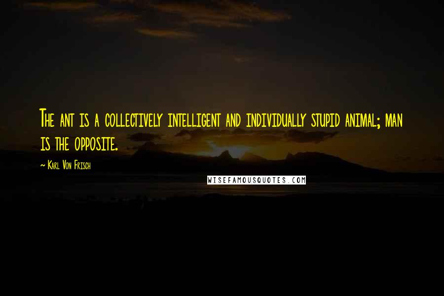 Karl Von Frisch Quotes: The ant is a collectively intelligent and individually stupid animal; man is the opposite.