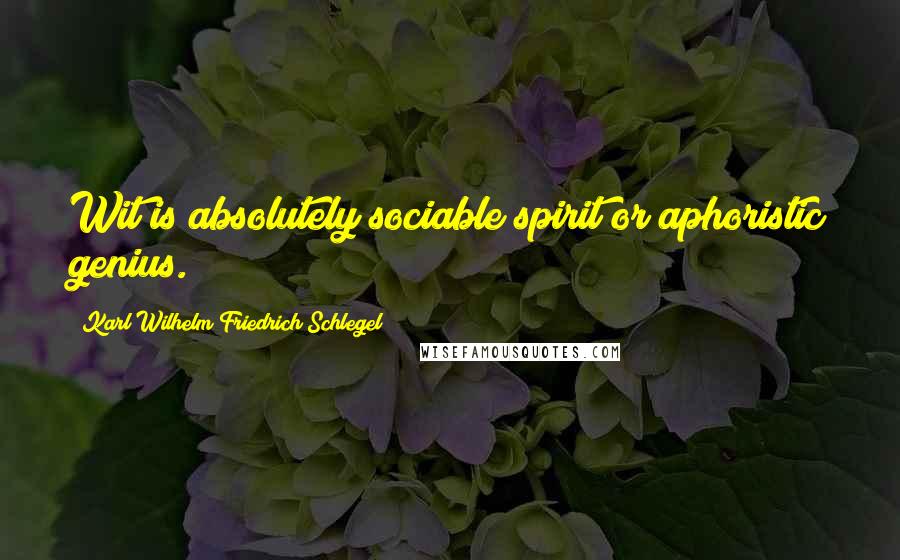 Karl Wilhelm Friedrich Schlegel Quotes: Wit is absolutely sociable spirit or aphoristic genius.