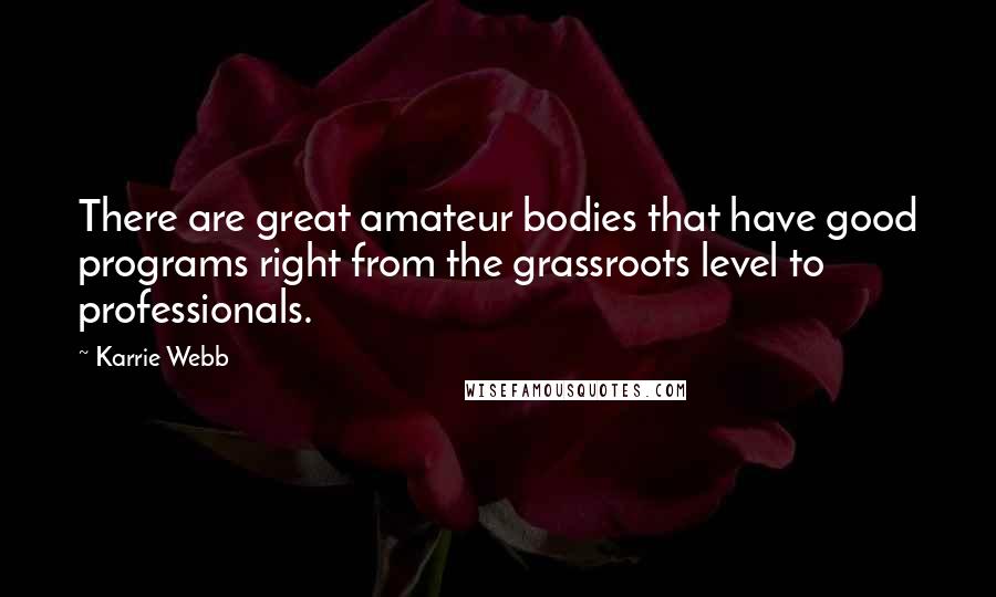 Karrie Webb Quotes: There are great amateur bodies that have good programs right from the grassroots level to professionals.