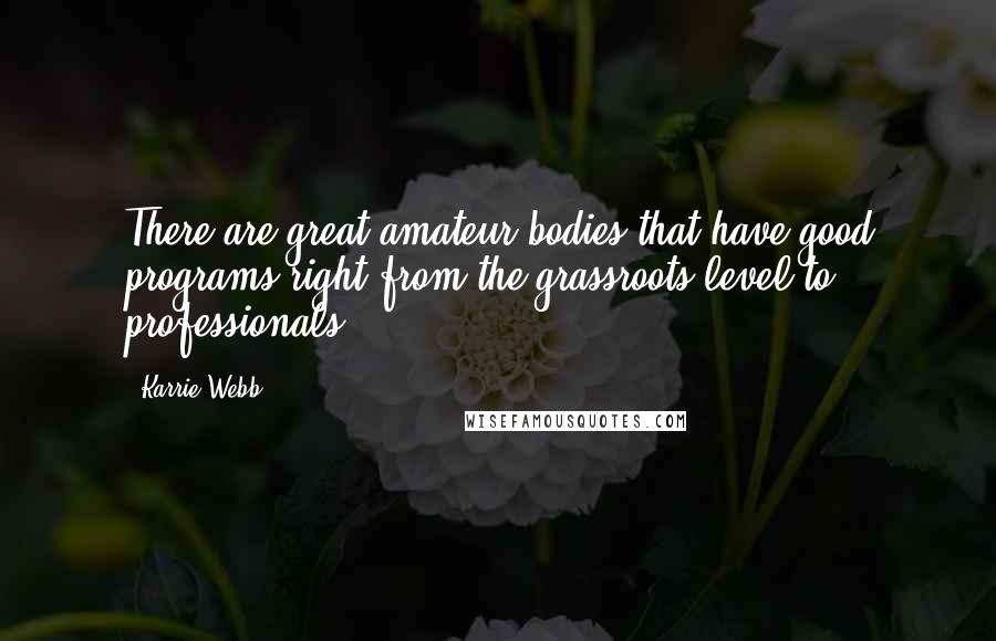 Karrie Webb Quotes: There are great amateur bodies that have good programs right from the grassroots level to professionals.